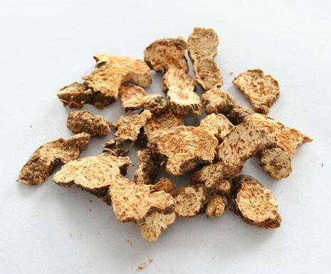 蒼術(北蒼術) ATRACTYLODIS RHIZOMA