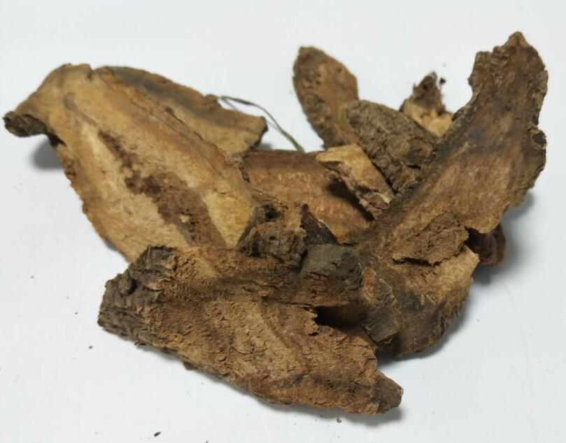 大黃(唐古特大黃) RHEI RADIX ET RHIZOMA