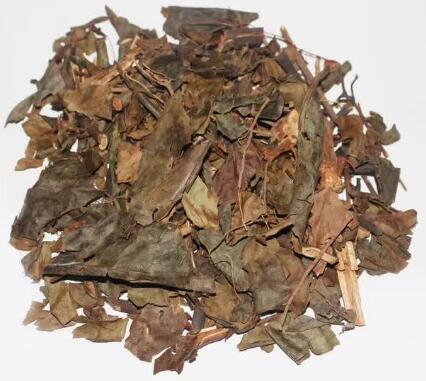 腫節(jié)風（草珊瑚） SARCANDRAE HERBA