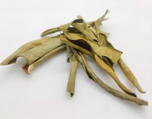 蘆薈(好望角蘆薈) ALOE