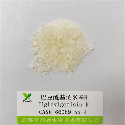 巴豆?；昝仔罤|66069-55-4